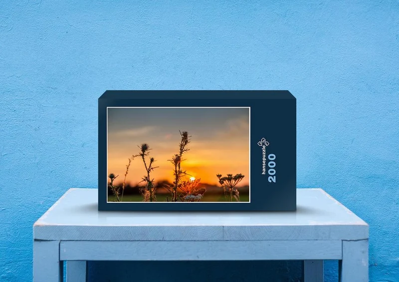 43472 Natur - Sonnenuntergang Puzzle