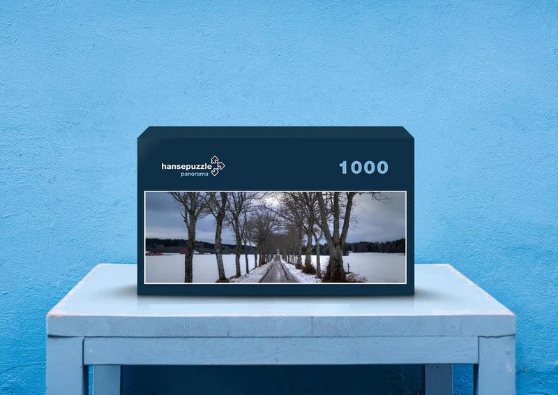 42932 Fortbewegung - Straße Puzzle