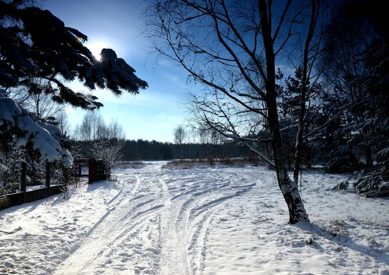 37471 Natur - Winter Puzzle