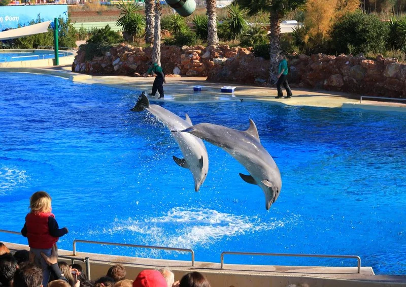 32131 Tierwelt - Delfin-Show Puzzle