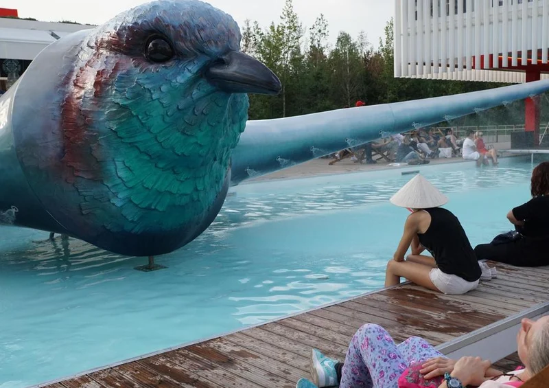 17794 Tierwelt - Vogel im Pool Puzzle