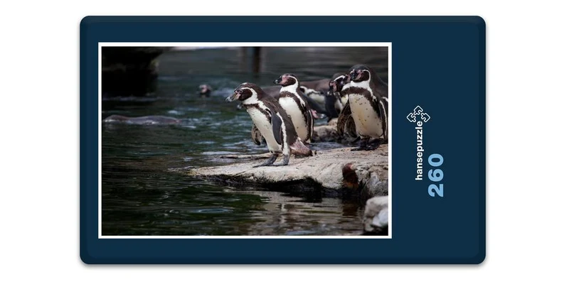 17956 Tierwelt - Pinguin Puzzle