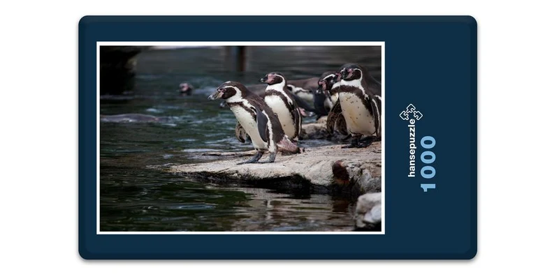 17956 Tierwelt - Pinguin Puzzle