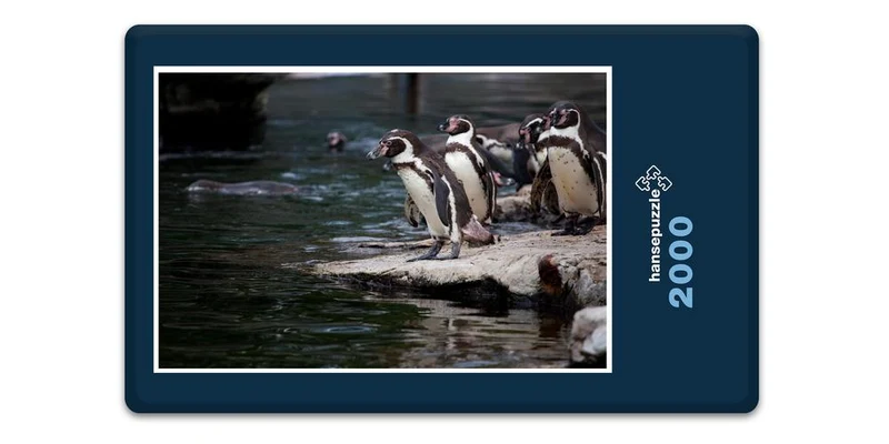 17956 Tierwelt - Pinguin Puzzle