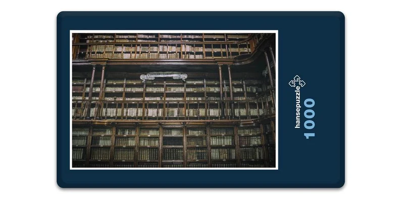 17722 Gebäude - Bibliothek Puzzle