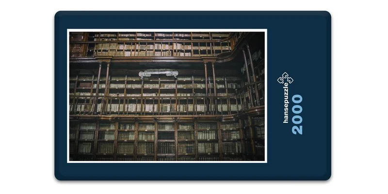 17722 Gebäude - Bibliothek Puzzle