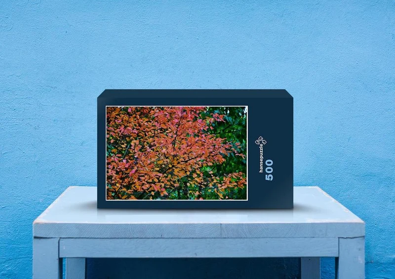 43430 Natur - Herbstblätter Puzzle