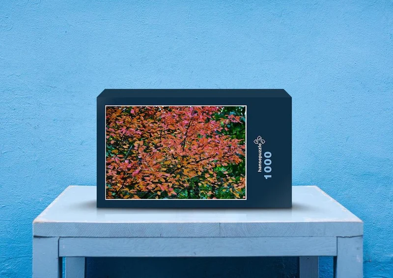 43430 Natur - Herbstblätter Puzzle
