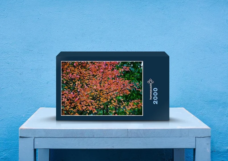 43430 Natur - Herbstblätter Puzzle