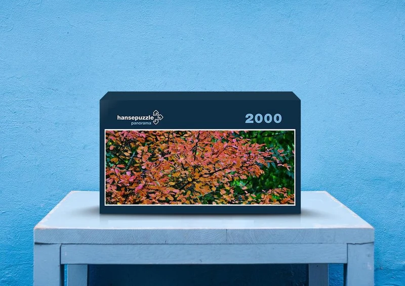 43430 Natur - Herbstblätter Puzzle