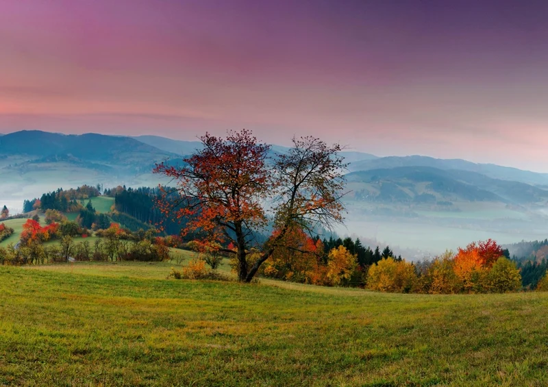 43418 Natur - Berglandschaft Puzzle
