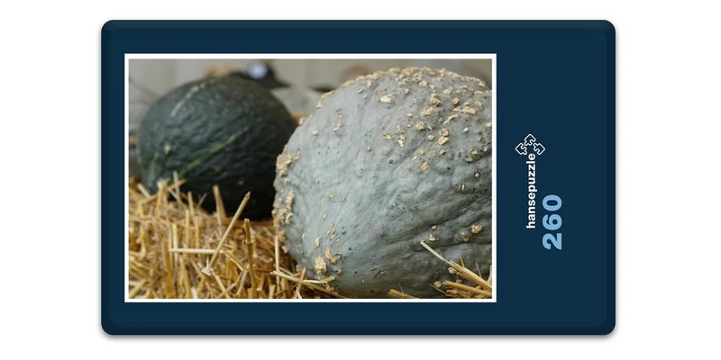 17890 Ernährung - Kürbis auf Stroh Puzzle