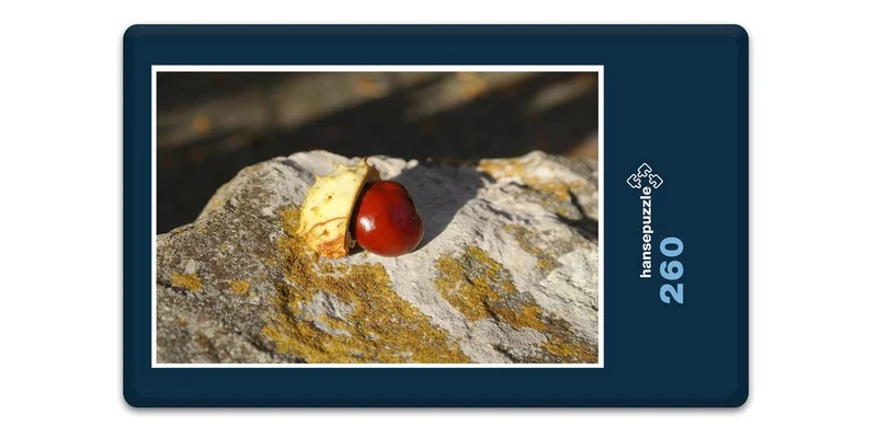 17892 Ernährung - Kastanie auf Fels Puzzle