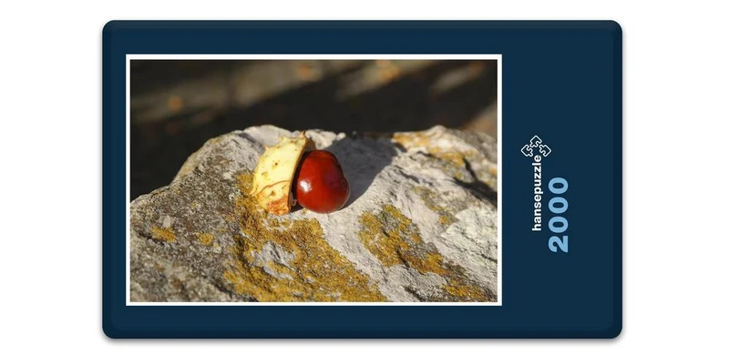 17892 Ernährung - Kastanie auf Fels Puzzle