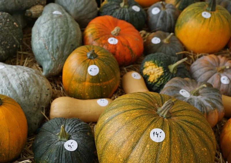 32114 Ernährung - Kürbis-Markt Puzzle