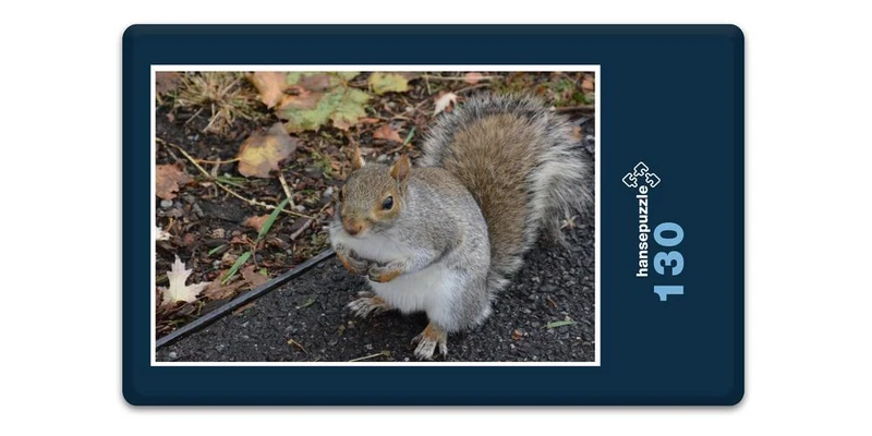 17894 Tierwelt - Kleiner Nager Puzzle