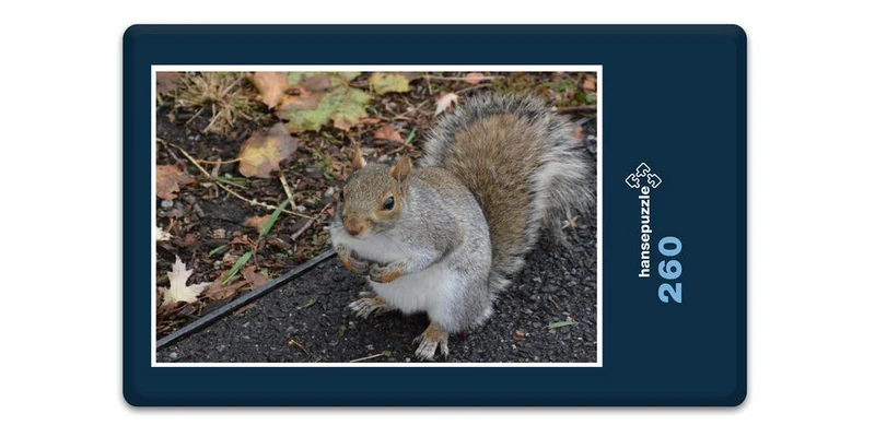 17894 Tierwelt - Kleiner Nager Puzzle