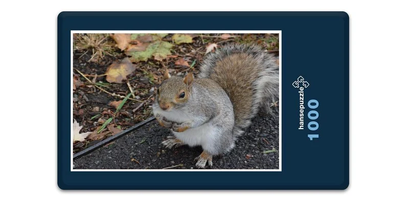 17894 Tierwelt - Kleiner Nager Puzzle