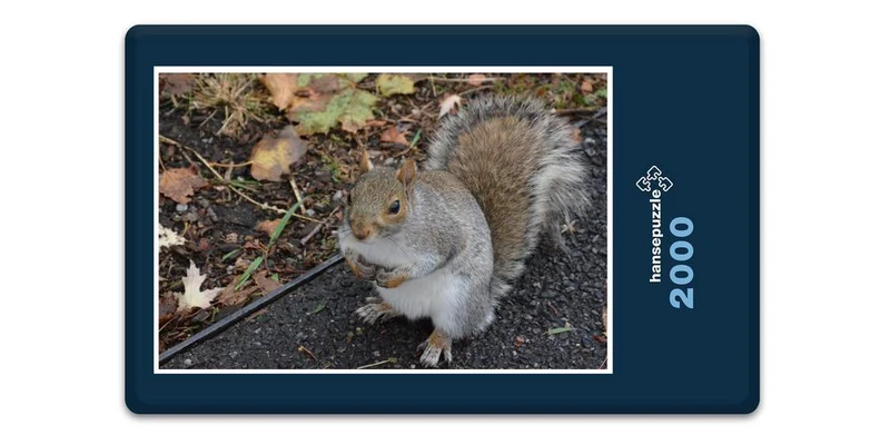 17894 Tierwelt - Kleiner Nager Puzzle