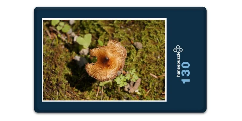 17896 Ernährung - Pilz Puzzle