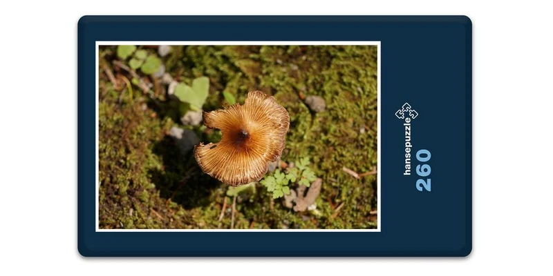 17896 Ernährung - Pilz Puzzle