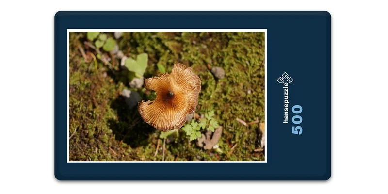 17896 Ernährung - Pilz Puzzle