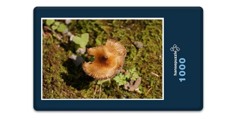 17896 Ernährung - Pilz Puzzle