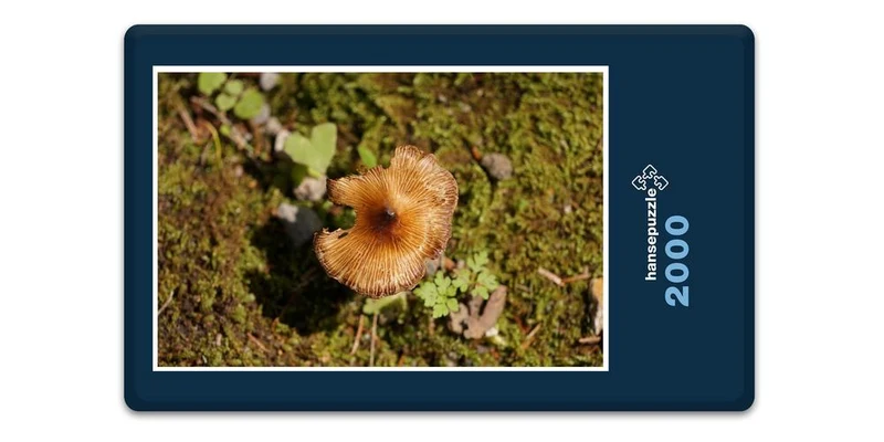 17896 Ernährung - Pilz Puzzle