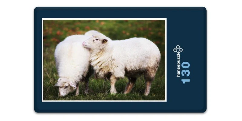 17897 Tierwelt - Schafe auf Weide Puzzle