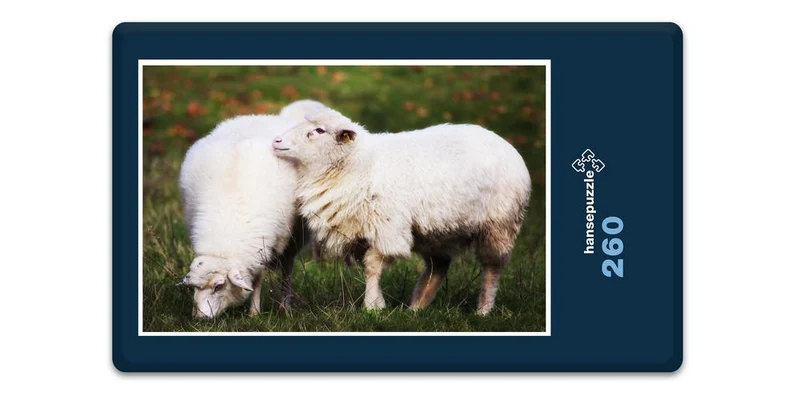 17897 Tierwelt - Schafe auf Weide Puzzle