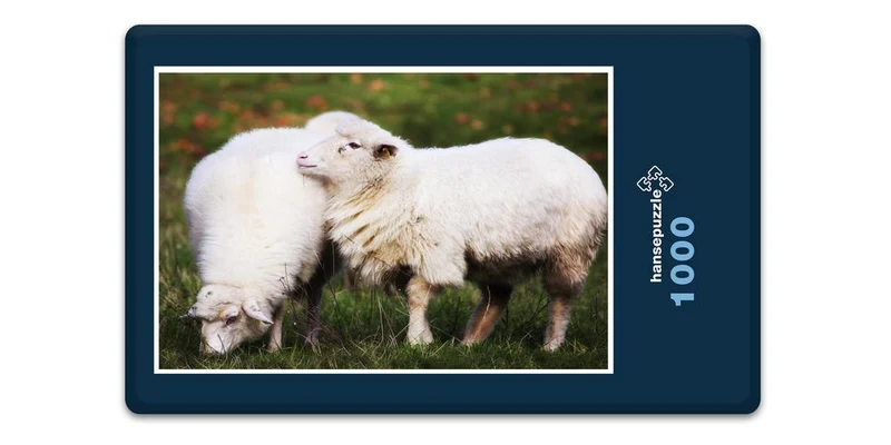 17897 Tierwelt - Schafe auf Weide Puzzle
