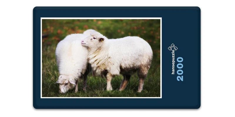 17897 Tierwelt - Schafe auf Weide Puzzle