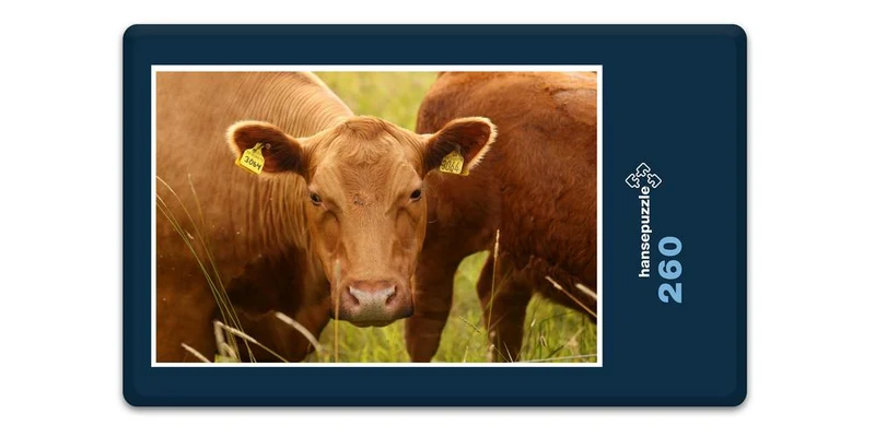 17841 Tierwelt - Glückliche Kuh Puzzle