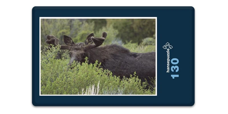 17842 Tierwelt - Elch-Versteck Puzzle