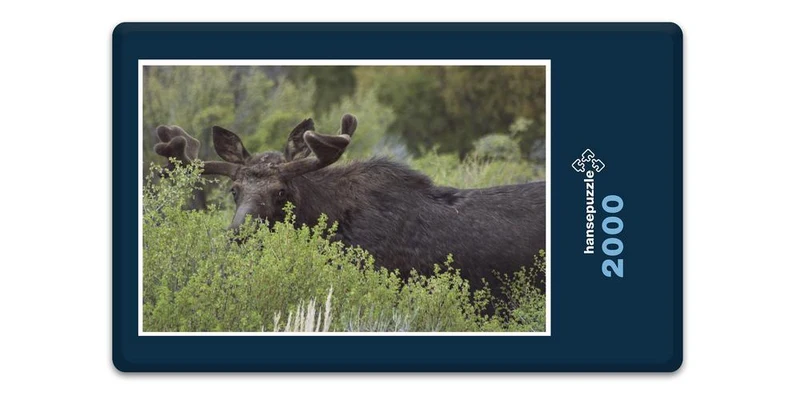 17842 Tierwelt - Elch-Versteck Puzzle