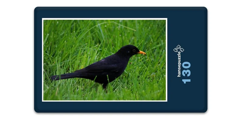 17843 Tierwelt - Vogel im Gras Puzzle