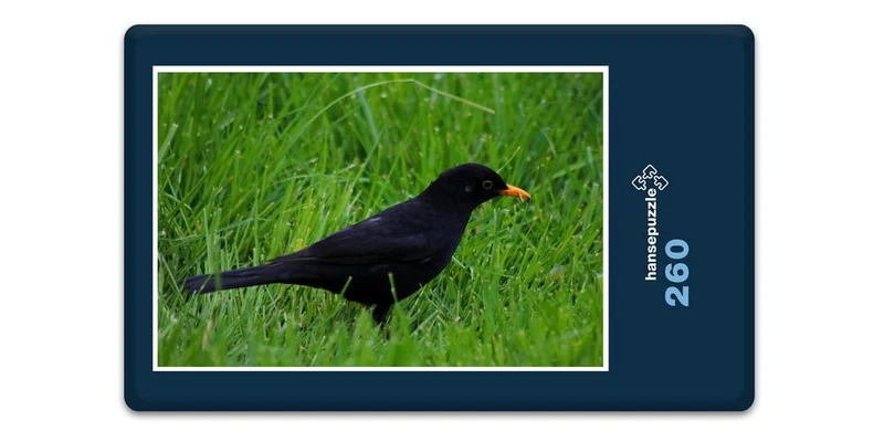 17843 Tierwelt - Vogel im Gras Puzzle