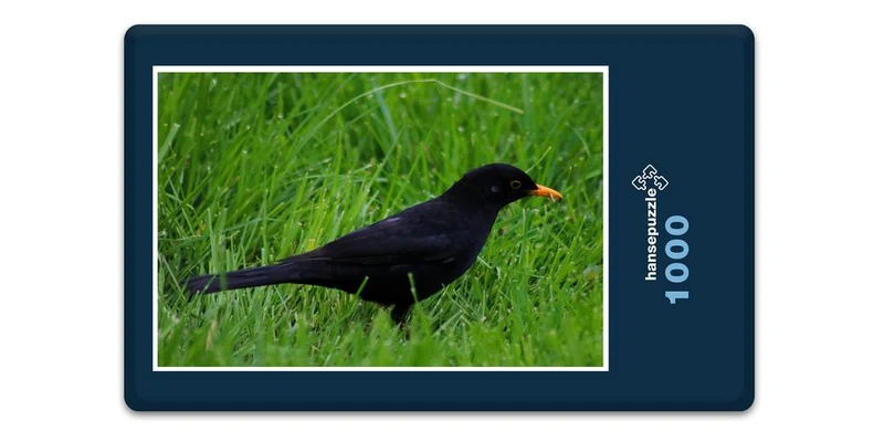 17843 Tierwelt - Vogel im Gras Puzzle