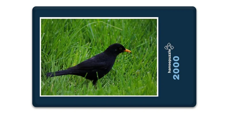 17843 Tierwelt - Vogel im Gras Puzzle