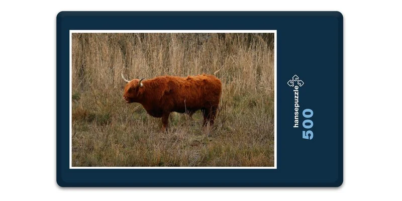 17845 Tierwelt - Hochland-Rind Puzzle