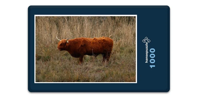 17845 Tierwelt - Hochland-Rind Puzzle