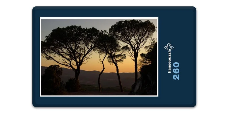 17847 Natur - Die mystischen Bäume Puzzle
