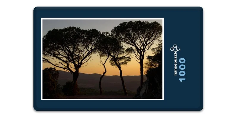 17847 Natur - Die mystischen Bäume Puzzle