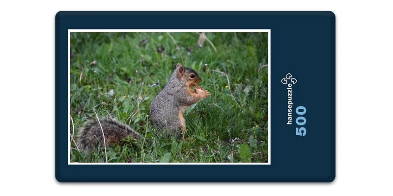 17849 Tierwelt - Hungriges Eichhörnchen Puzzle