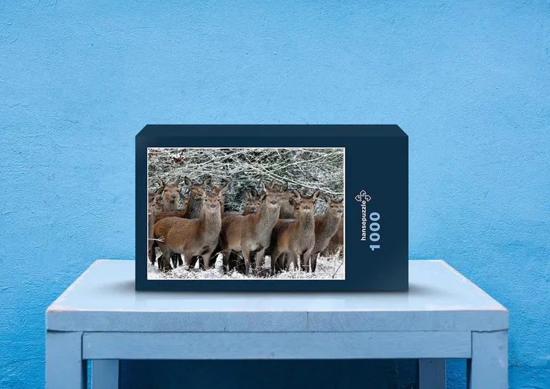 42830 Tierwelt - Wildtiere Puzzle