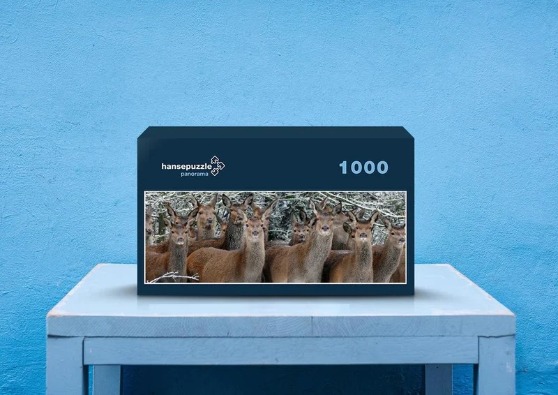 42830 Tierwelt - Wildtiere Puzzle