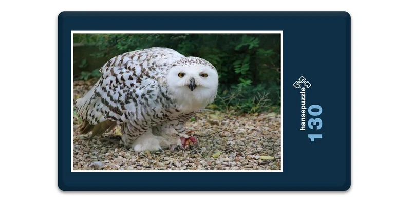 17913 Tierwelt - Schnee-Eule Puzzle