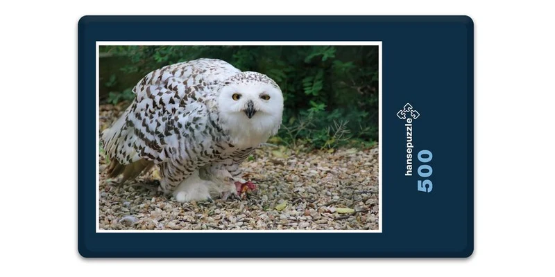 17913 Tierwelt - Schnee-Eule Puzzle