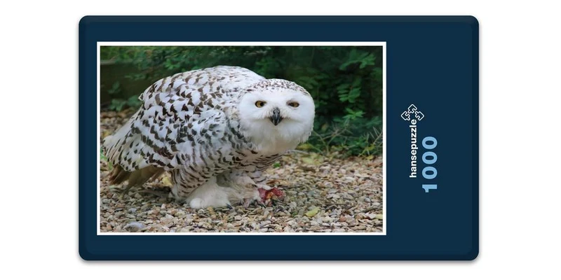 17913 Tierwelt - Schnee-Eule Puzzle
