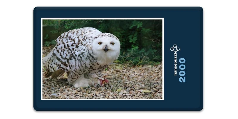 17913 Tierwelt - Schnee-Eule Puzzle